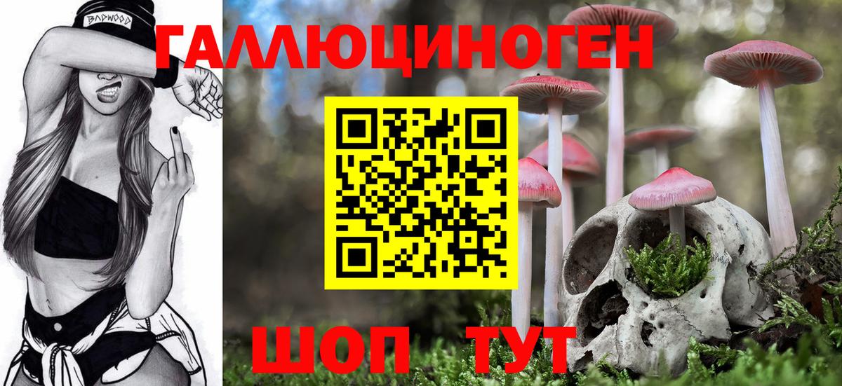 Галлюциногенные грибы MAGIC MUSHROOMS Железноводск