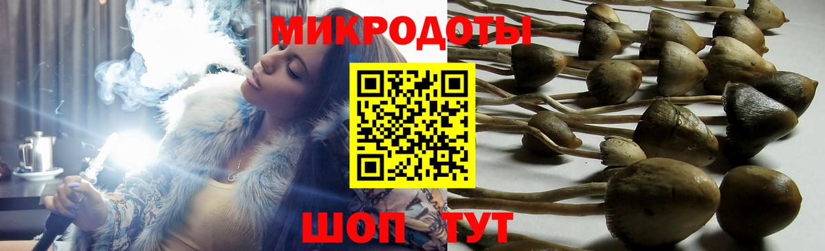 Железноводск  Галлюциногенные грибы прущие грибы  Вход с VPN 